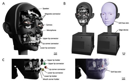 当硅基面孔学会自然流露 AI驱动的人脸机器人登上《科学·机器人》封面